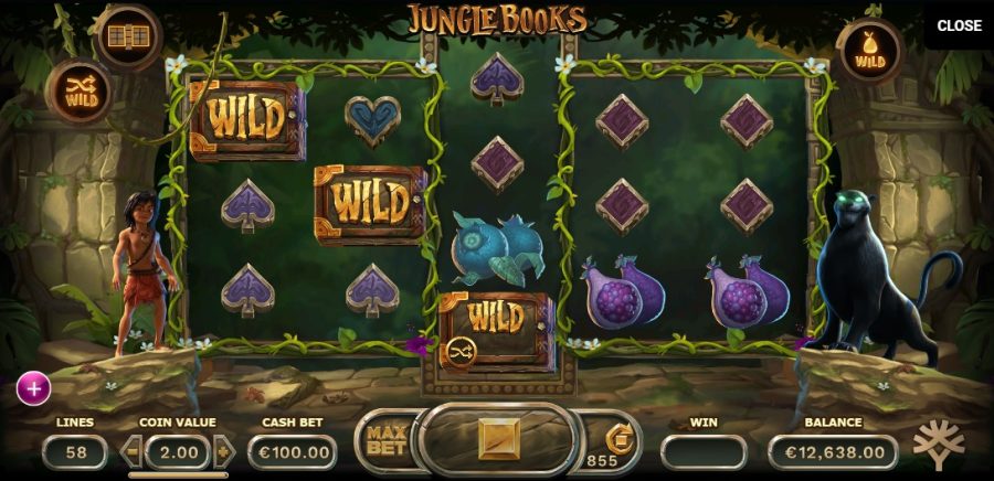 Описание характеристик игры Jungle Books